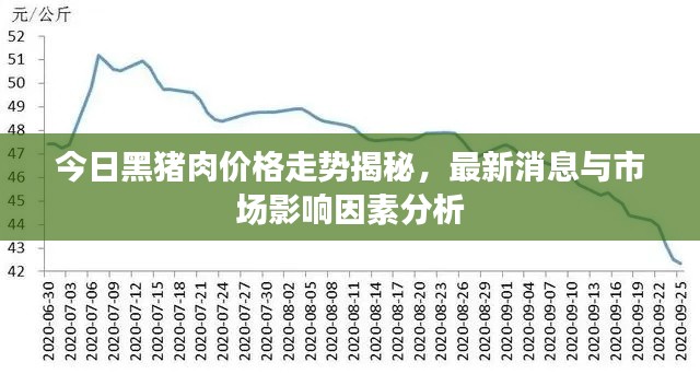 今日黑猪肉价格走势揭秘，最新消息与市场影响因素分析