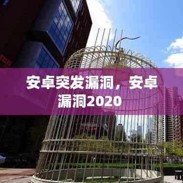 安卓突发漏洞，安卓漏洞2020 