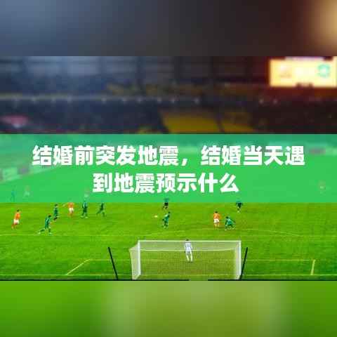 富贵有余 第5页