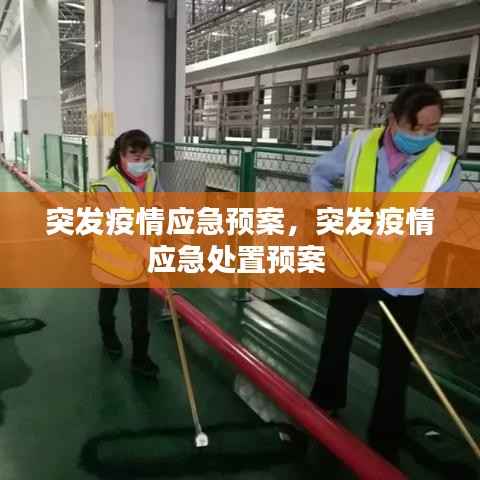 突发疫情应急预案，突发疫情应急处置预案 