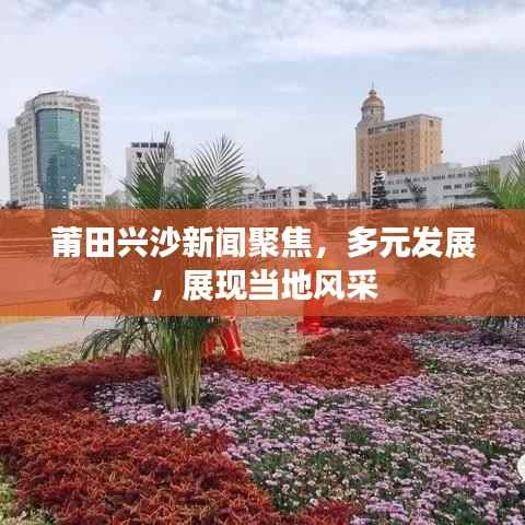 莆田兴沙新闻聚焦，多元发展，展现当地风采