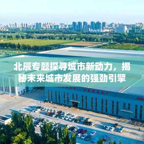 尘土飞扬 第4页