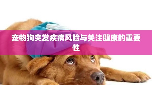 宠物狗突发疾病风险与关注健康的重要性