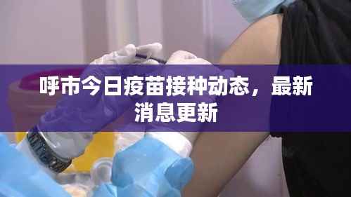 呼市今日疫苗接种动态，最新消息更新