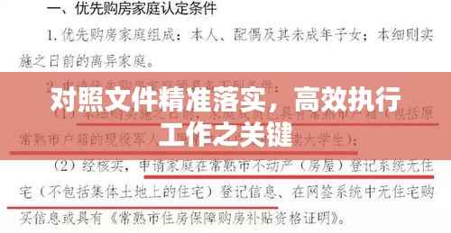 对照文件精准落实，高效执行工作之关键