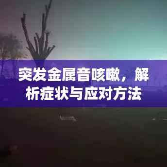 突发金属音咳嗽，解析症状与应对方法