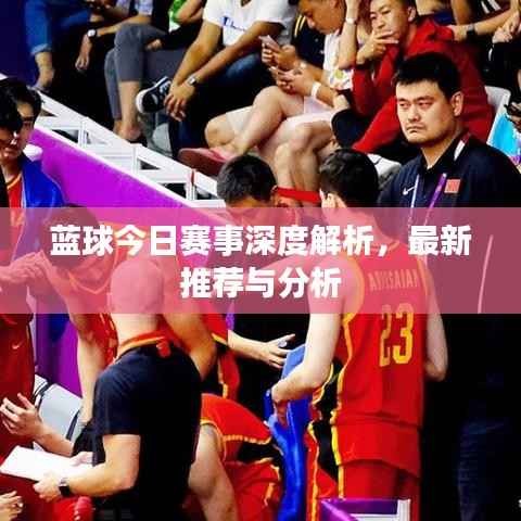 蓝球今日赛事深度解析，最新推荐与分析