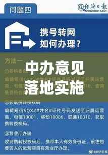 中办意见落地实施策略深度探讨