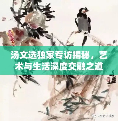 汤文选独家专访揭秘，艺术与生活深度交融之道