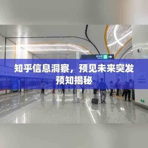 知乎信息洞察，预见未来突发预知揭秘