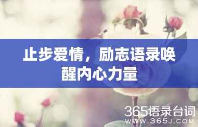 临危不惧 第5页