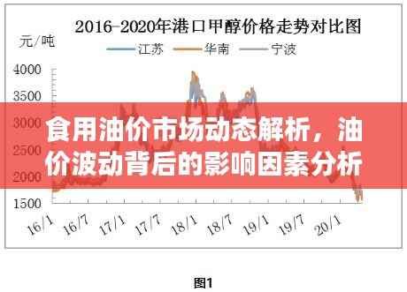 食用油价市场动态解析，油价波动背后的影响因素分析
