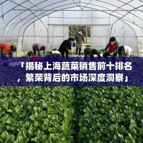 「揭秘上海蔬菜销售前十排名，繁荣背后的市场深度洞察」