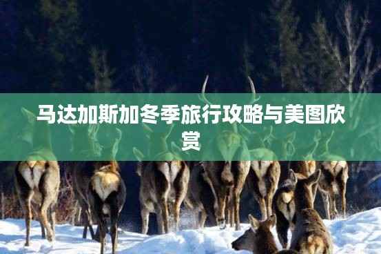 马达加斯加冬季旅行攻略与美图欣赏