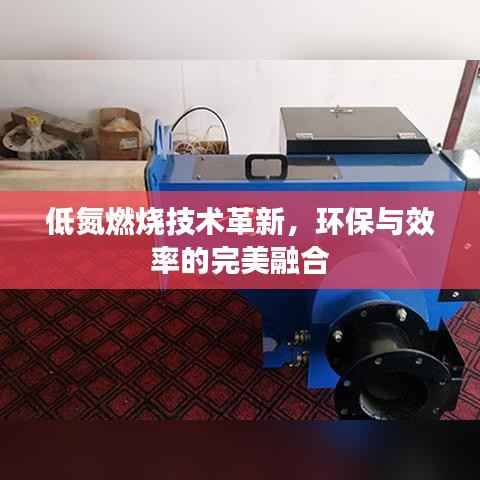 郑重其事 第5页