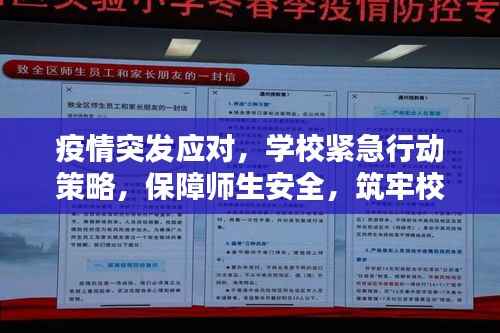 疫情突发应对，学校紧急行动策略，保障师生安全，筑牢校园防线