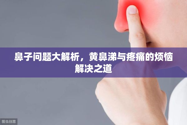 鼻子问题大解析，黄鼻涕与疼痛的烦恼解决之道
