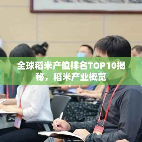全球稻米产值排名TOP10揭秘,稻米产业概览