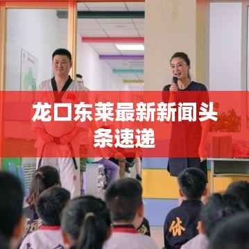 龙口东莱最新新闻头条速递