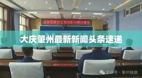 大庆肇州最新新闻头条速递