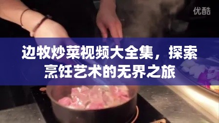 边牧炒菜视频大全集，探索烹饪艺术的无界之旅