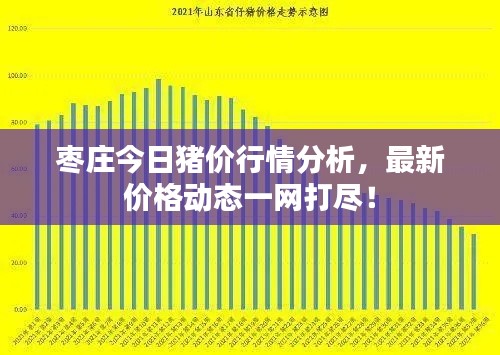 枣庄今日猪价行情分析，最新价格动态一网打尽！