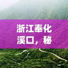 浙江奉化溪口,秘境之旅的绝佳攻略