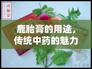 鹿胎膏的用途，传统中药的魅力与现代应用探索