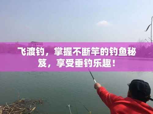 飞渡钓，掌握不断竿的钓鱼秘笈，享受垂钓乐趣！
