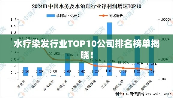 水疗染发行业TOP10公司排名榜单揭晓！