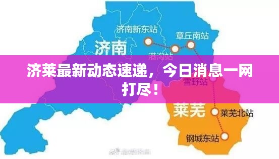 济莱最新动态速递，今日消息一网打尽！