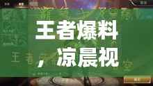 王者爆料，凉晨视频集锦全新呈现