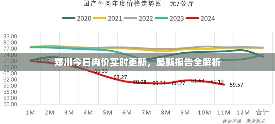 郑川今日肉价实时更新，最新报告全解析