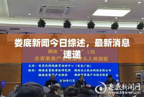 娄底新闻今日综述，最新消息速递