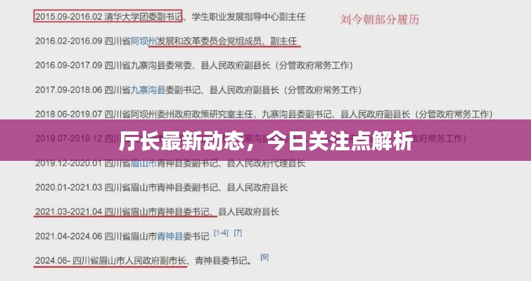 厅长最新动态，今日关注点解析