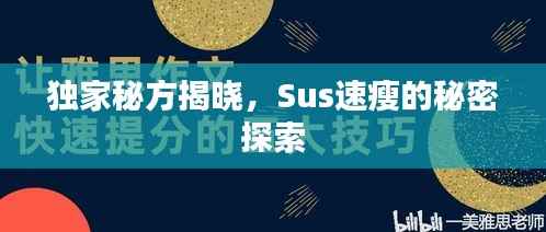 独家秘方揭晓，Sus速瘦的秘密探索