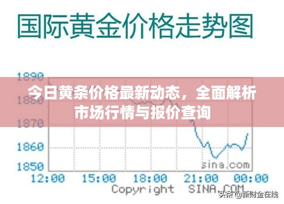 今日黄条价格最新动态，全面解析市场行情与报价查询