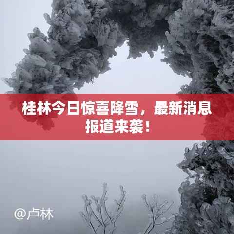 凿壁偷光 第4页