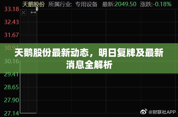 天鹅股份最新动态，明日复牌及最新消息全解析
