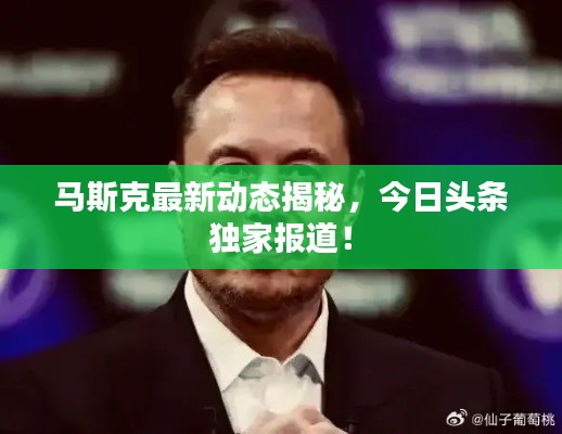马斯克最新动态揭秘，今日头条独家报道！