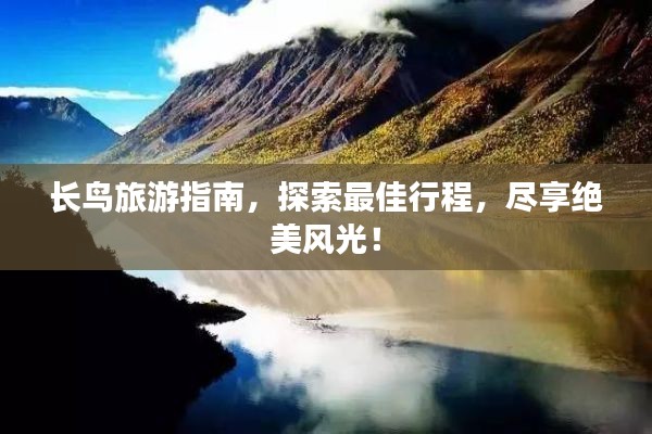 长鸟旅游指南，探索最佳行程，尽享绝美风光！