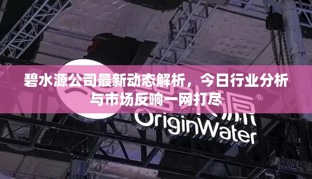 碧水源公司最新动态解析，今日行业分析与市场反响一网打尽