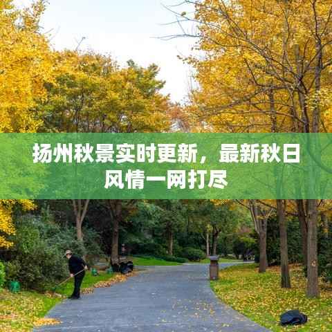 扬州秋景实时更新，最新秋日风情一网打尽