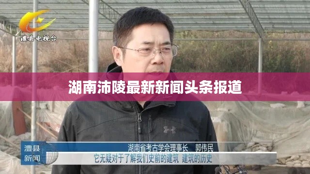 湖南沛陵最新新闻头条报道