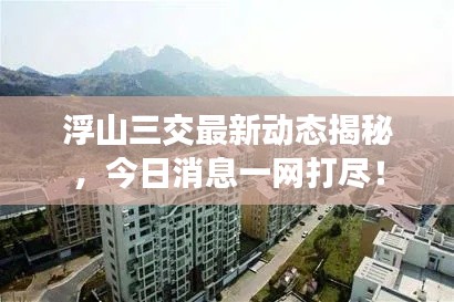 浮山三交最新动态揭秘，今日消息一网打尽！