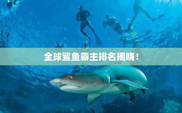 全球鲨鱼霸主排名揭晓！