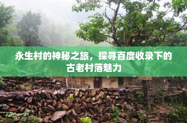 富贵逼人来 第4页