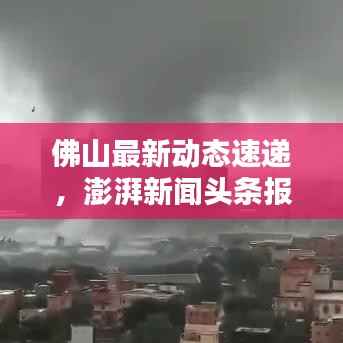 阳春白雪 第4页