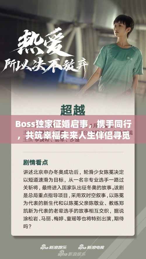 Boss独家征婚启事，携手同行，共筑幸福未来人生伴侣寻觅中