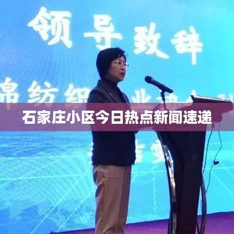 石家庄小区今日热点新闻速递